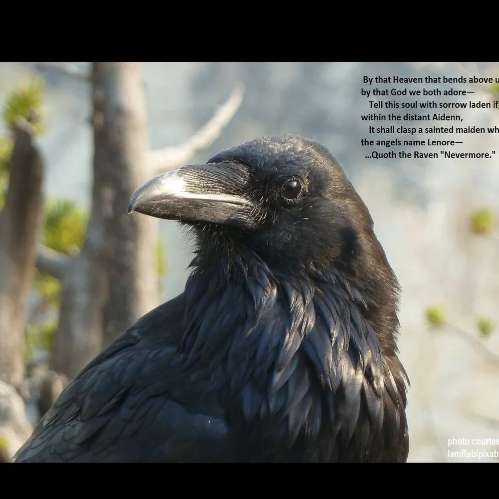 Raven Calendar 2027 Ravens Planner with The Raven by Edgar Allan Poe Poetry